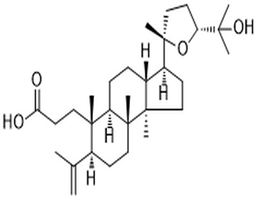 Shoreic acid,Shoreic acid