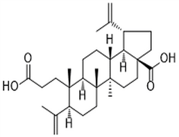 3,4-Secolupa-4(23),20(29)-diene-3,28-dioic acid,3,4-Secolupa-4(23),20(29)-diene-3,28-dioic acid