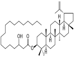 Lupeol 3-hydroxyoctadecanoate