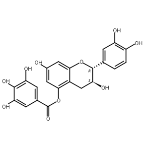 (+)-儿茶素5-没食子酸酯,(+)-atechin 5-gallate