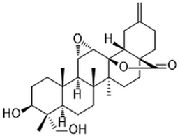 11α,12α-Epoxy-3β,23-dihydroxy-30-norolean-20(29)-en-28,13β-olide,11α,12α-Epoxy-3β,23-dihydroxy-30-norolean-20(29)-en-28,13β-olide