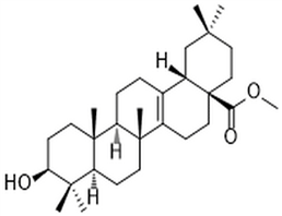 Pyrocincholic acid methyl ester,Pyrocincholic acid methyl ester