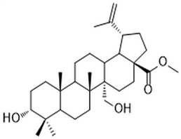 3,27-Dihydroxy-20(29)-lupen-28-oic acid methyl ester,3,27-Dihydroxy-20(29)-lupen-28-oic acid methyl ester