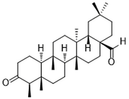 Canophyllal