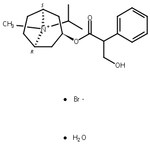 异丙托溴铵一水合物,Ipratropium bromide monohydrate