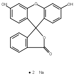 荧光素钠,Fluorescein Sodium