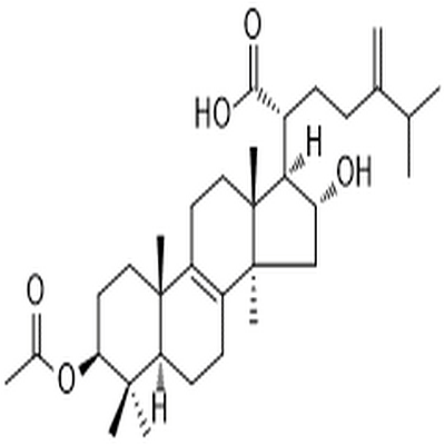 Pachymic acid,Pachymic acid