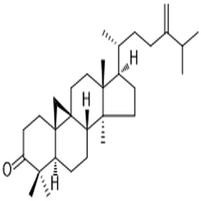 24-Methylenecycloartanone,24-Methylenecycloartanone