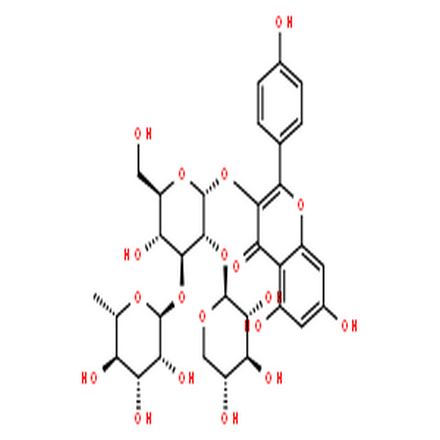 山茶甙B,4H-1-Benzopyran-4-one,3-[(O-6-deoxy-a-L-mannopyranosyl-(1?6)-O-[b-D-xylopyranosyl-(1?2)]-b-D-glucopyranosyl)oxy]-5,7-dihydroxy-2-(4-hydroxyphenyl)-
