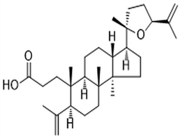 Richenoic acid,Richenoic acid