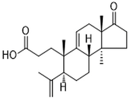 Micranoic acid A,Micranoic acid A