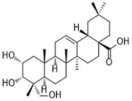 2α,3α,23-Trihydroxyolean-12-en-28-oic acid