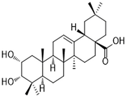 3-Epimaslinic acid