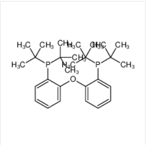 双（2-二叔丁基膦基苯基）醚,bis(2-di-tert-butylphosphinophenyl)ether