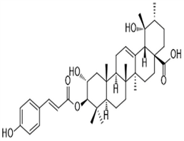 3-O-p-Coumaroyltormentic acid