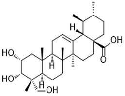 Esculentic acid,Esculentic acid