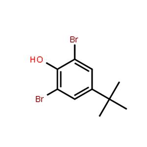 2,6-二溴-4-叔丁基苯酚