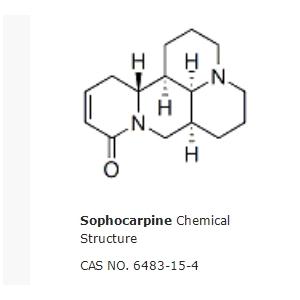 Sophocarpine
