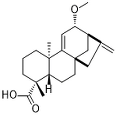 12α-Methoxygrandiflorenic acid,12α-Methoxygrandiflorenic acid
