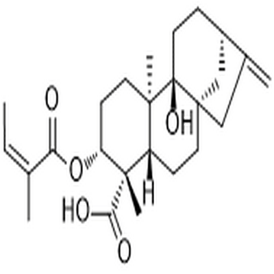 3α-Angeloyloxypterokaurene L3,3α-Angeloyloxypterokaurene L3