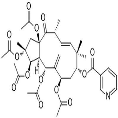 Jatrophane 1,Jatrophane 1