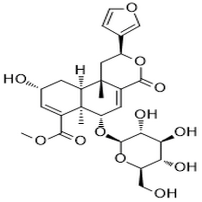Dehydroborapetoside B,Dehydroborapetoside B
