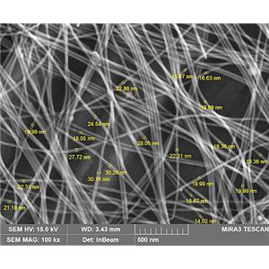 银纳米线；纳米银线,Silver nanowires