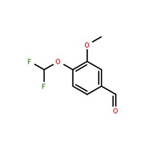4-二氟甲氧基-3-甲氧基苯甲醛,3-Methoxy-4-(difluoromethoxy)benzaldehyde