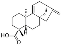 Grandiflorenic acid