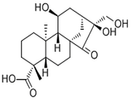 Adenostemmoic acid D