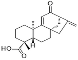 12-Oxograndiflorenic acid,12-Oxograndiflorenic acid