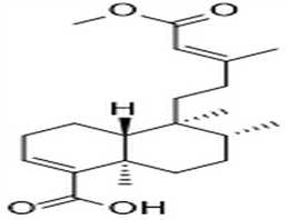 Monomethyl kolavate