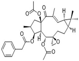 Aphadilactone C