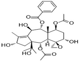 9-Deacetyl-9-benzoyl-10-debenzoyl-4β,20-epoxytaxchinin A