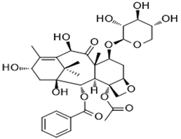 7-Xylosyl-10-deacetylbaccatin III,7-Xylosyl-10-deacetylbaccatin III