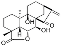 ent-7α,9-Dihydroxy-15-oxokaur-16-en-19,6β-olide