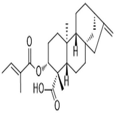 ent-3β-Tigloyloxykaur-16-en-19-oic acid,ent-3β-Tigloyloxykaur-16-en-19-oic acid