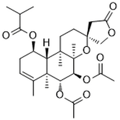 Scutebata E,Scutebata E