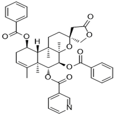 Scutebata G,Scutebata G