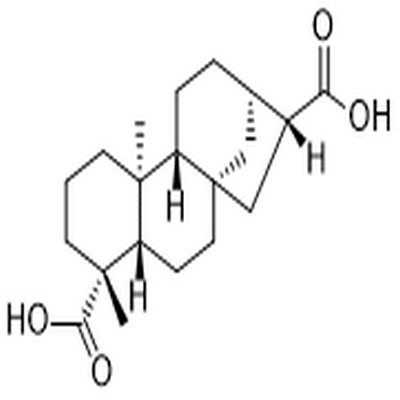 ent-kaurane-17,19-dioic acid,ent-kaurane-17,19-dioic acid