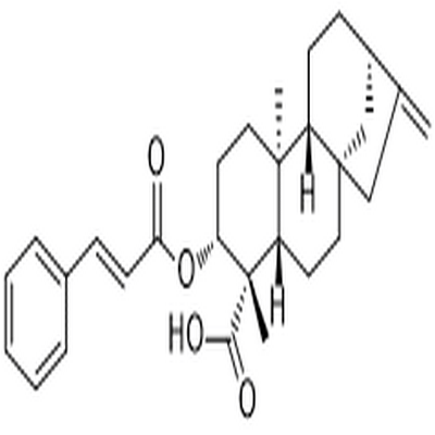 ent-3β-Cinnamoyloxykaur-16-en-19-oic acid,ent-3β-Cinnamoyloxykaur-16-en-19-oic acid