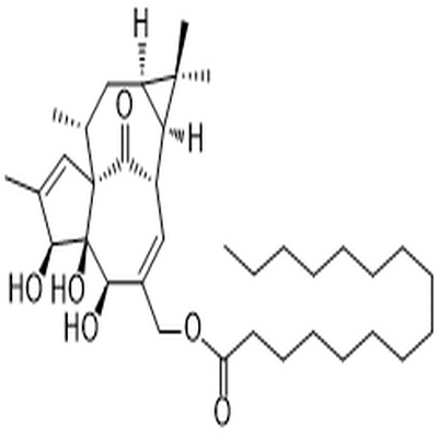 Ingenol 20-palmitate,Ingenol 20-palmitate