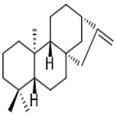 (-)-Phyllocladene,(-)-Phyllocladene