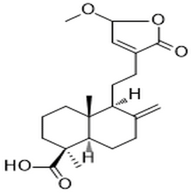 15-Methoxypinusolidic acid,15-Methoxypinusolidic acid