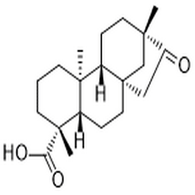 Isosteviol,Isosteviol