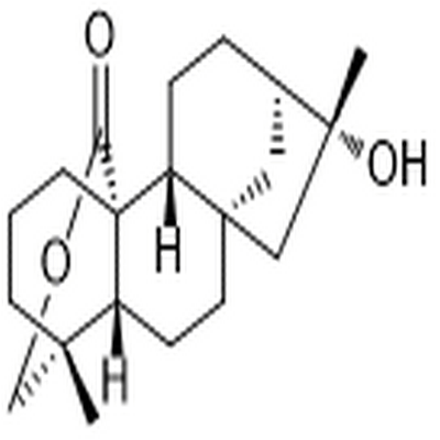 Neotripterifordin,Neotripterifordin