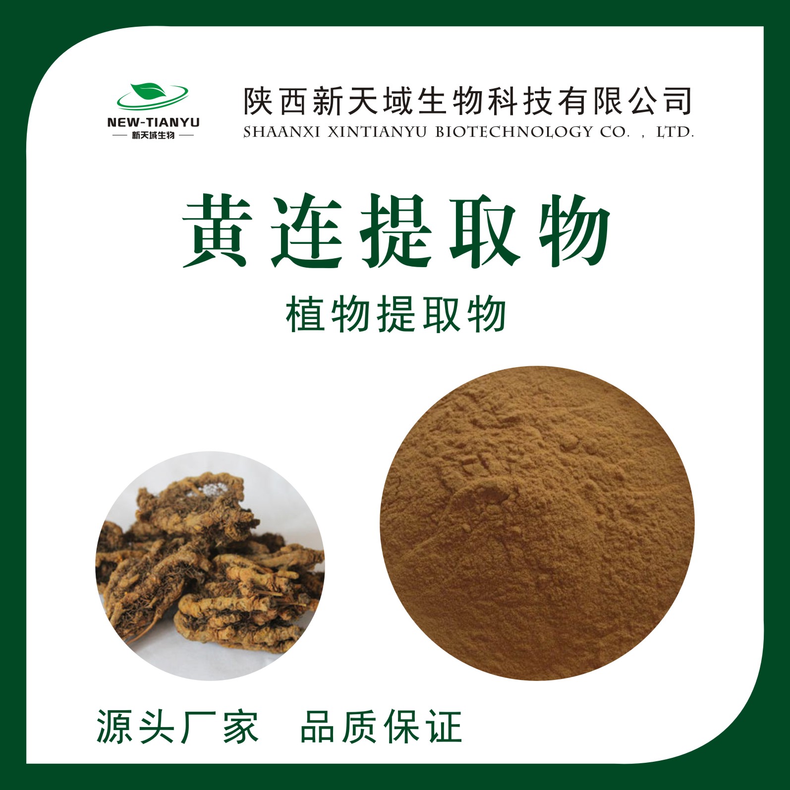 黄连提取物,Coptidis Rhizoma