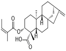 ent-3β-Angeloyloxykaur-16-en-19-oic acid