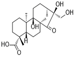 Pterisolic acid F,Pterisolic acid F