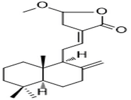 Coronarin D methyl ether